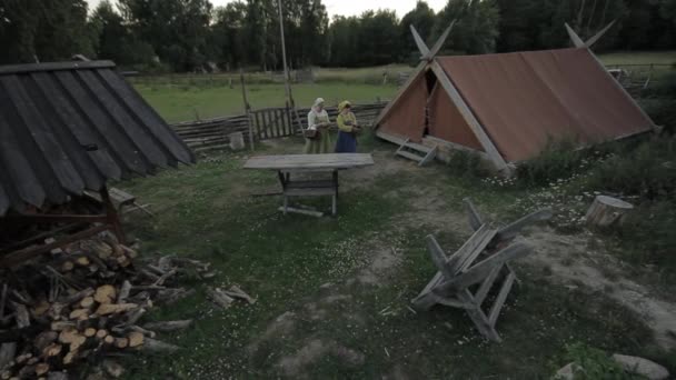 Viking Age Village Reenactment Vikingos Socializando Practicando Con Espadas — Vídeo de stock