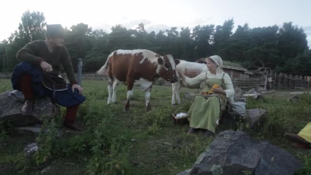 Nachstellung Eines Dorfes Aus Der Wikingerzeit Schweden Wikinger Treffen Sich — Stockvideo