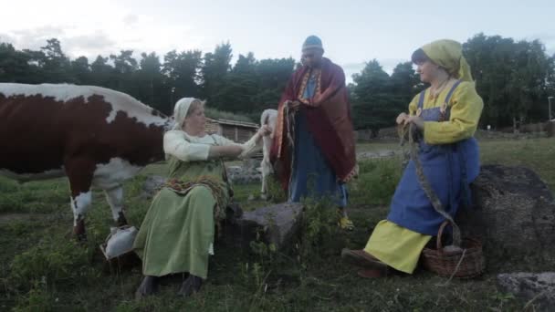 Viking Age Village Reenactment Sweden Inglés Vikingos Socializando Una Pequeña — Vídeo de stock
