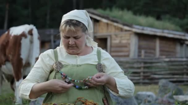 Viking Age Village Reenactment Sweden Inglés Vikingos Socializando Una Pequeña — Vídeos de Stock