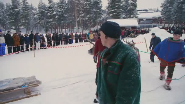 Rendieren Racen Sneeuw Crowds Delighted Tourists Flock Unique Sami Traditie — Stockvideo