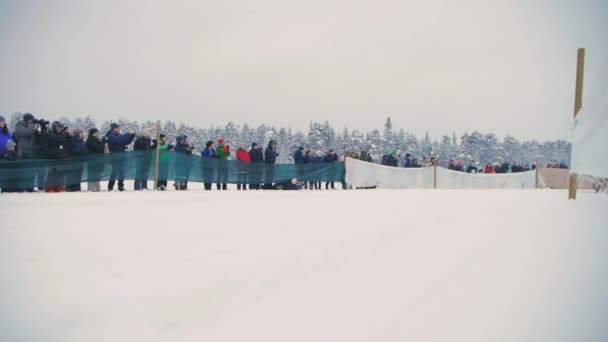 Rentierrennen Schnee Scharen Begeisterter Touristen Strömen Einzigartiger Samischer Tradition Nordschweden — Stockvideo