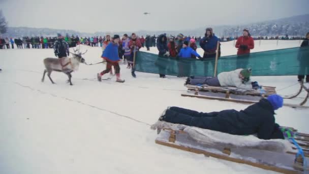 Corrida Renas Neve Multidões Turistas Encantados Reúnem Para Uma Tradição — Vídeo de Stock