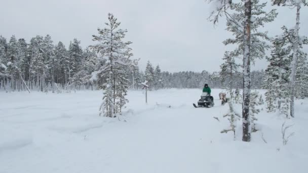 トナカイとサミが雪の道を歩く 美しい北欧の冬の環境 — ストック動画