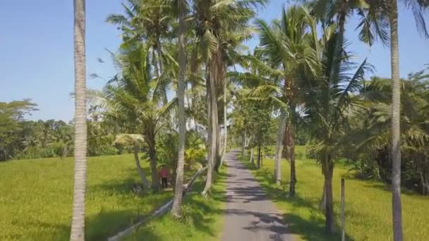 Aerial Wiejskiej Drogi Bali Indonezja Kobieta Jazda Skuter — Wideo stockowe