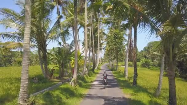 Aerea Strada Rurale Bali Indonesia Con Donna Equitazione Scooter — Video Stock