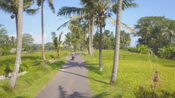 인도네시아 발리의 도로에서 여자가 스쿠터를 — 비디오