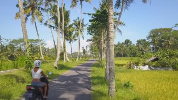 Luftaufnahme Einer Landstraße Bali Indonesien Mit Rollerfahrerin — Stockvideo
