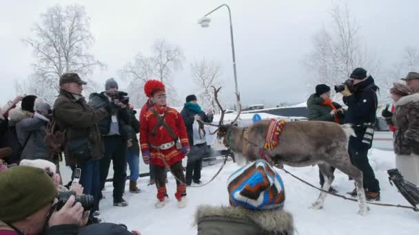 Famiglia Sami Renne Fanno Ogni Anno Apparizione Tradizionale Mercato Jokkmokk — Video Stock