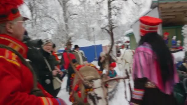 Samisk Familj Och Renar Gör Sitt Årliga Traditionella Framträdande Jokkmokks — Stockvideo