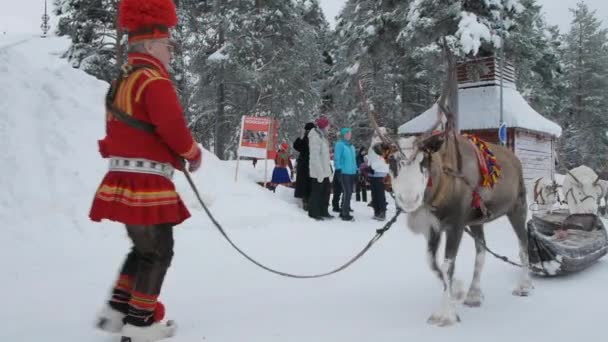 Rodzina Sami Renifery Sprawiają Roczne Tradycyjne Wygląd Rynku Jokkmokk 400 — Wideo stockowe