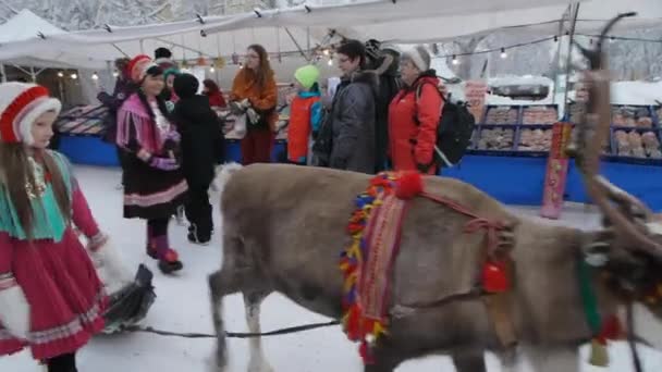 Familia Sami Renos Hacen Aparición Tradicional Anual Mercado Jokkmokk Una — Vídeo de stock