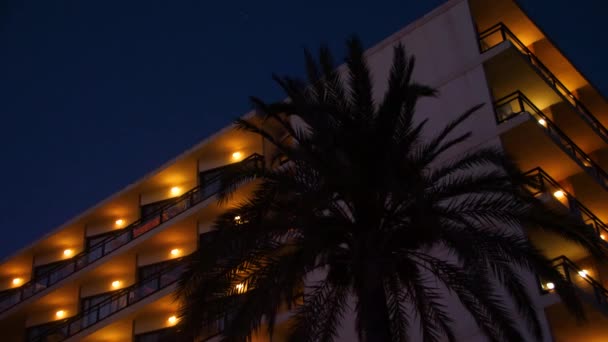 旅馆里的一棵孤零零的棕榈树 — 图库视频影像