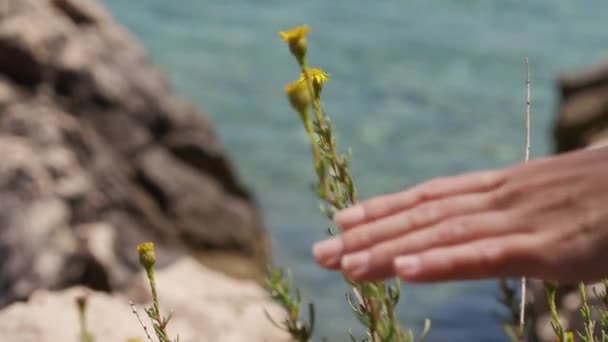 在大自然的背景下触摸花朵的女人 — 图库视频影像