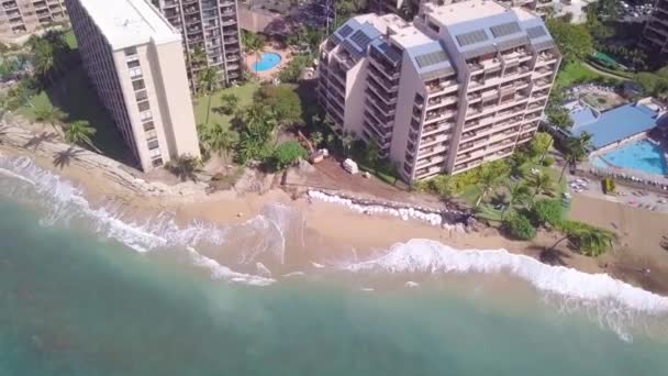 Vista Aerea Soleggiata Sulla Spiaggia Tropicale Maui Mezzogiorno — Video Stock