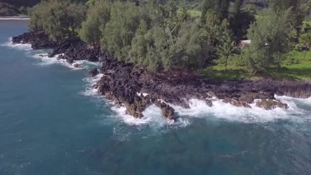 Luchtfoto Van Tropische Golven Die Neerstorten Boven Zwart Lava Rotsstrand — Stockvideo