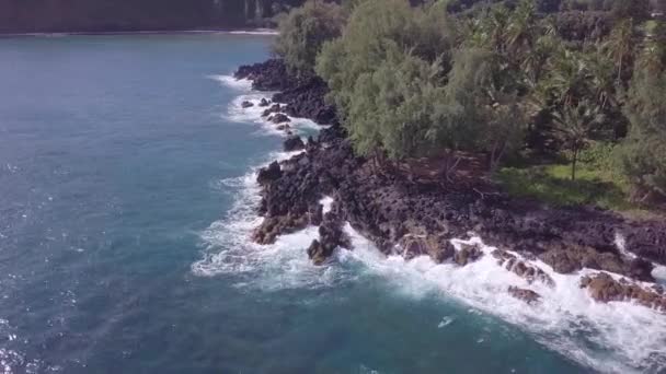 Vista Aérea Olas Tropicales Que Estrellan Sobre Playa Roca Lava — Vídeos de Stock