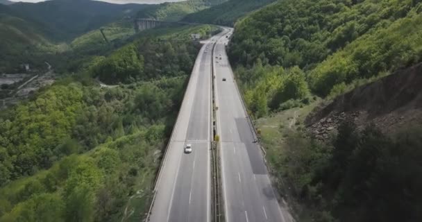 Безпілотні Знімки Мосту Вздовж Шосе Між Зеленим Лісом Всі Зняті — стокове відео