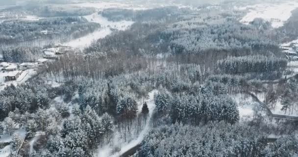 Imágenes Aviones Tripulados Tomadas Sobre Bosque Cubierto Nieve Lleno Árboles — Vídeo de stock