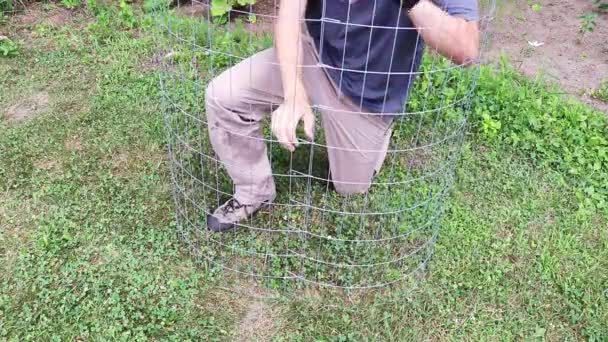 Erstellen Des Tomatenzauns Das Material Des Metallzaunes — Stockvideo