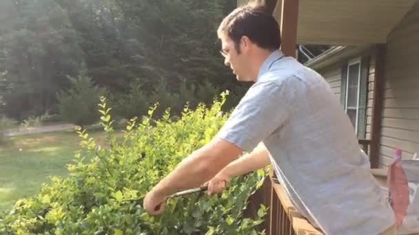 Mann Schneidet Gebüsch Vorgarten Mit Trimmer — Stockvideo