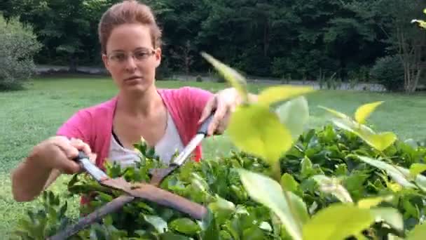 Vrouw Trimmen Struiken Voortuin Met Trimmers Voor Tuin Werk — Stockvideo