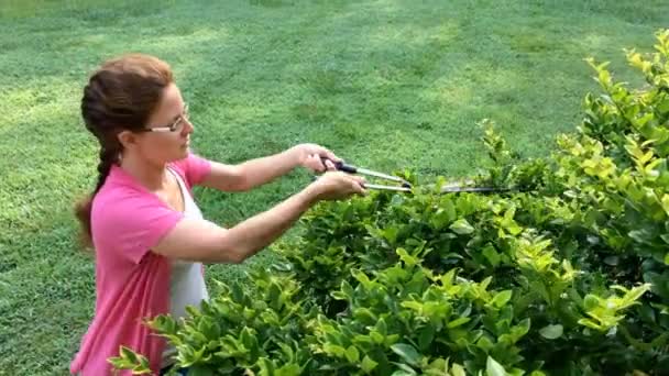 Vrouw Doet Tuinwerk Trimmen Struiken Voortuin Van Huis — Stockvideo