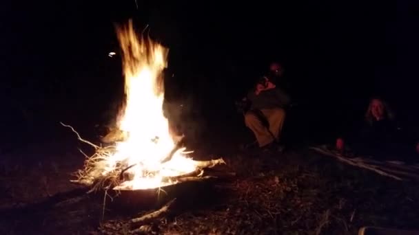 Nächtliches Lagerfeuer Auf Dem Campingplatz Bei Nacht — Stockvideo