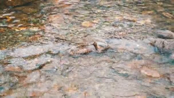 Вода Течет Гальке Замедленной Съемке — стоковое видео