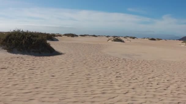 Pláž Corralejo Fuerteventura Španělsko — Stock video