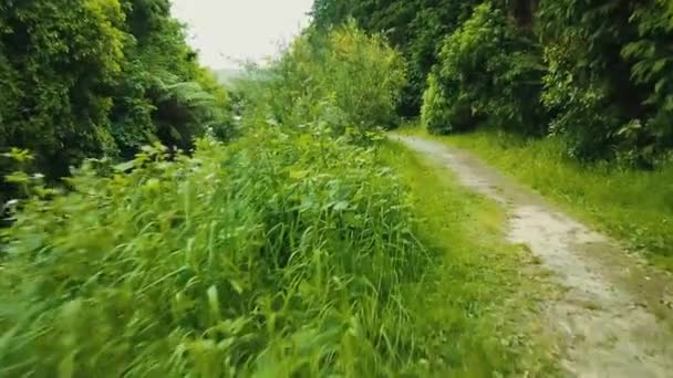 Unghi Scăzut Zburând Lungul Traseului Drumețiilor Din Noua Zeelandă Ziua — Videoclip de stoc