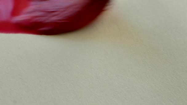 Künstler Malt Rote Pinselstriche Mit Pinsel Und Aquarell — Stockvideo