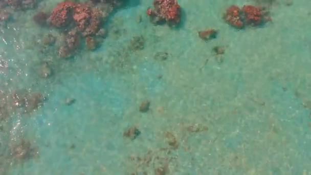 在墨西哥坎昆拍摄的关于清澈 蓝水和绿水的无人机镜头 海底是看得见的 还有一些黄色的快艇和一个旅游胜地 — 图库视频影像