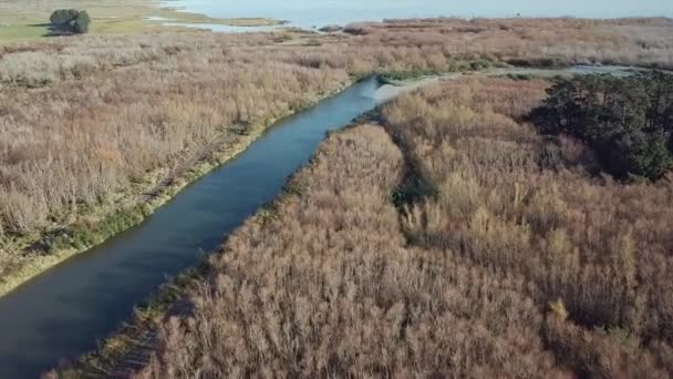 Flygfoto Nya Zealand Sjön Vintern — Stockvideo