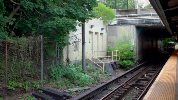 New York Mta Metro Treni Bir Açık Hava Istasyonuna Yanaşıyor — Stok video