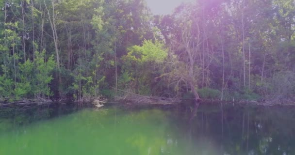 Přírodní Scenérie Jezerem Lesem — Stock video