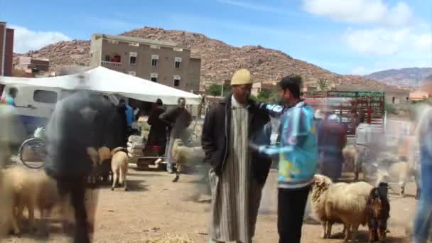 Tempo Limite Área Animal Souk Semanal Tafraout Marrocos Com Movimento — Vídeo de Stock