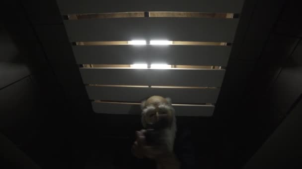 一个蒙面男子在一座大楼里拍摄了许多监控摄像头 — 图库视频影像