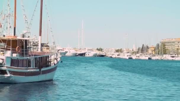 Burung Camar Terbang Atas Zadar Marina Kapal Pesiar Dan Perahu — Stok Video