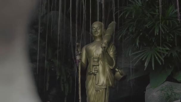 Nahaufnahme Einer Goldenen Statue — Stockvideo