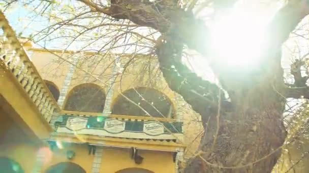 Hermoso Edificio Ladrillo Amarillo Árbol Floreciente Primavera Bajo Plano — Vídeos de Stock