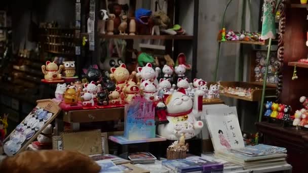 Cute Figures Chinese Market — Stock Video