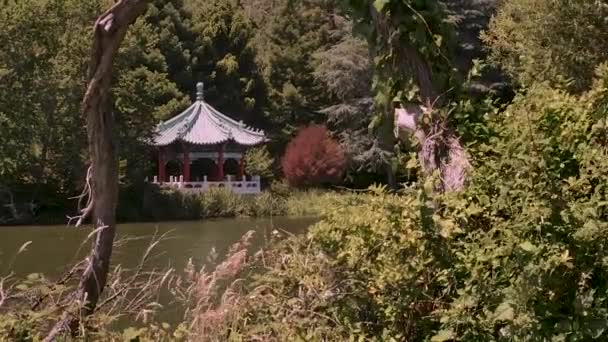 San Francisco Golden Gate Parkı Nda Küçük Bir Pagoda — Stok video