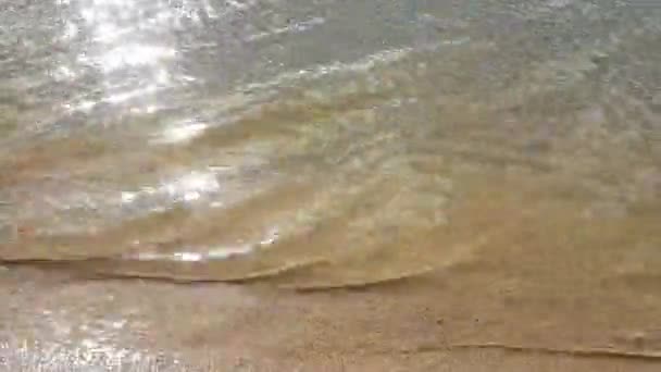 波のリズム 息をのむような朝のビーチ — ストック動画