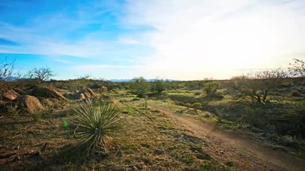 Time Lapse Ciclistas Montaña Caballo Por Desierto — Vídeos de Stock