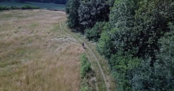 Video Cámara Lenta Cuando Filmé Corriendo Con Dron — Vídeos de Stock
