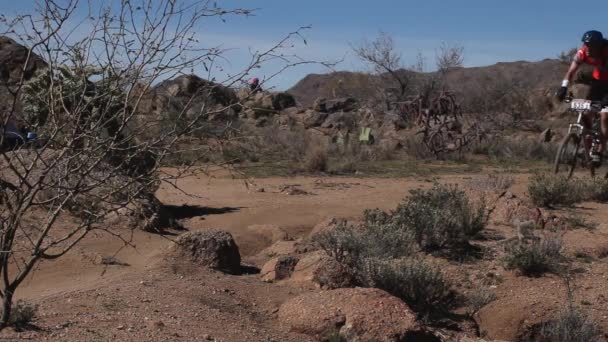 Ciclistas Montaña Caballo Por Desierto — Vídeo de stock