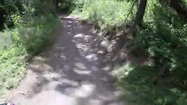 Person Cycling Mountain Trail Downhill Bike — Stock Video