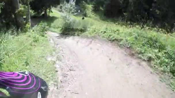 Person Fährt Mit Downhill Rad Auf Bergpfad — Stockvideo