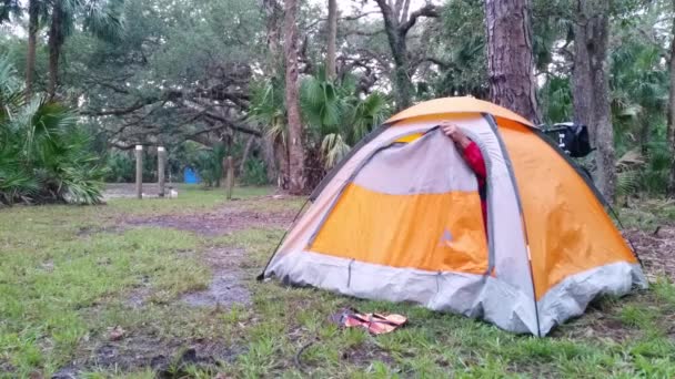 Entrando Tenda Campeggio Foresta Selvaggia Seguita Mattina Svegliarsi Stretching Uscire — Video Stock